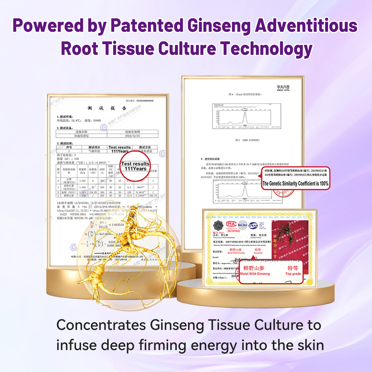 N57 Minimal Luxury Anti-Wrinkle Serum Peptide Pro-Xylane Multi-Dimensional Anti-Aging Brightening Firming