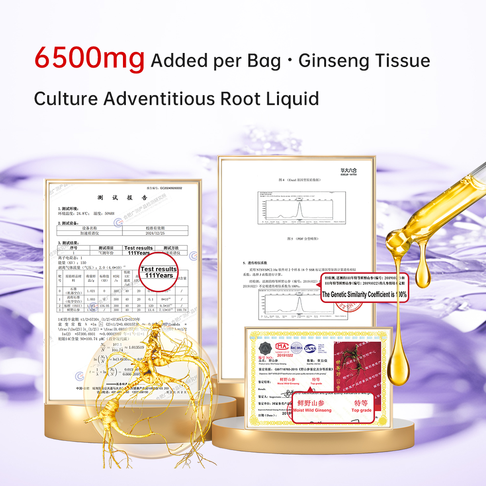 Han Formula Ginseng Tissue Culture Adventitious Root GABA Sleep Drink - 500mg GABA + 100mg Theanine, Tart Cherry & Spine Date Seed Decoction, Nourish Qi & Relieve Insomnia/Anxiety, 15mL×10