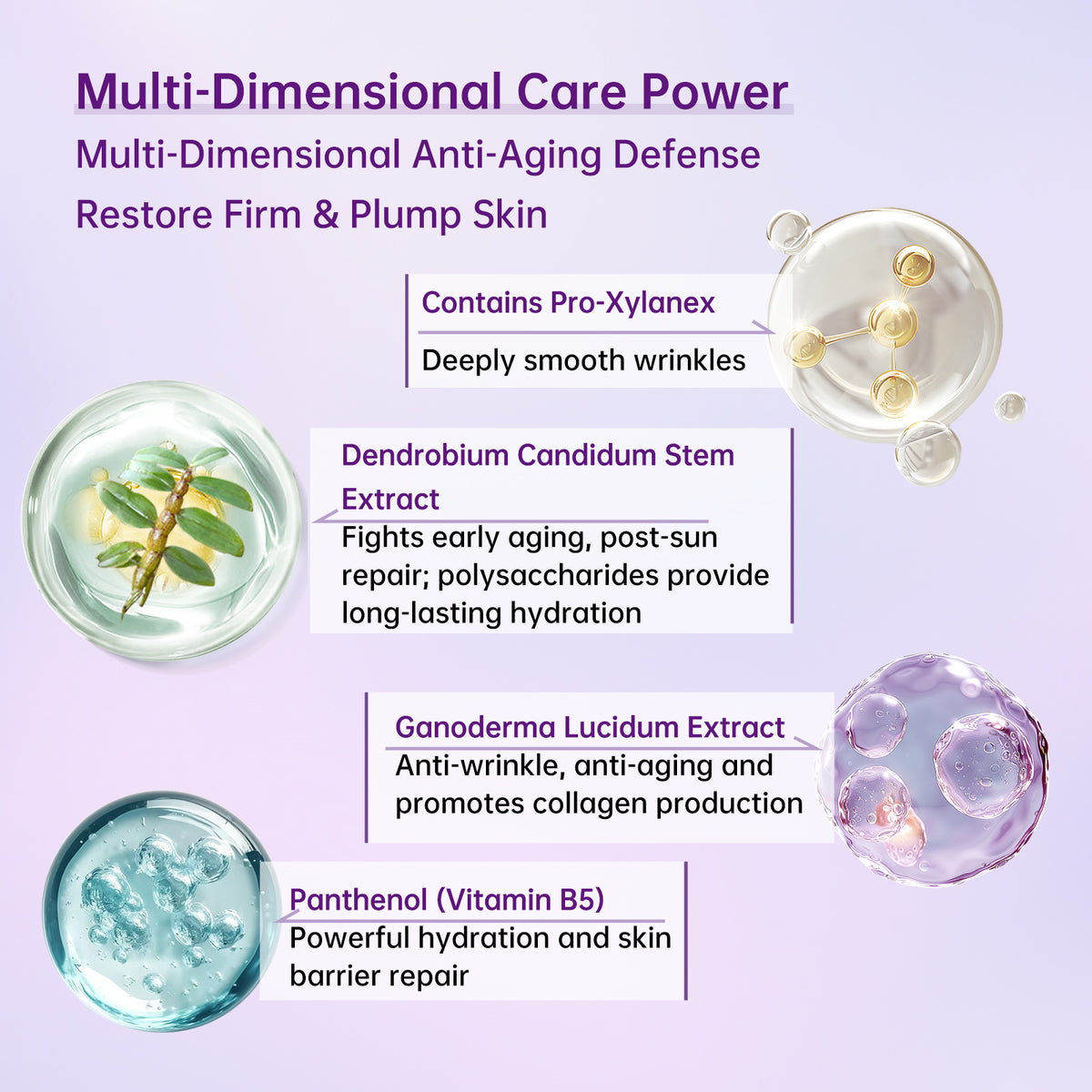 N57 Minimal Luxury Anti-Wrinkle Serum Peptide Pro-Xylane Multi-Dimensional Anti-Aging Brightening Firming