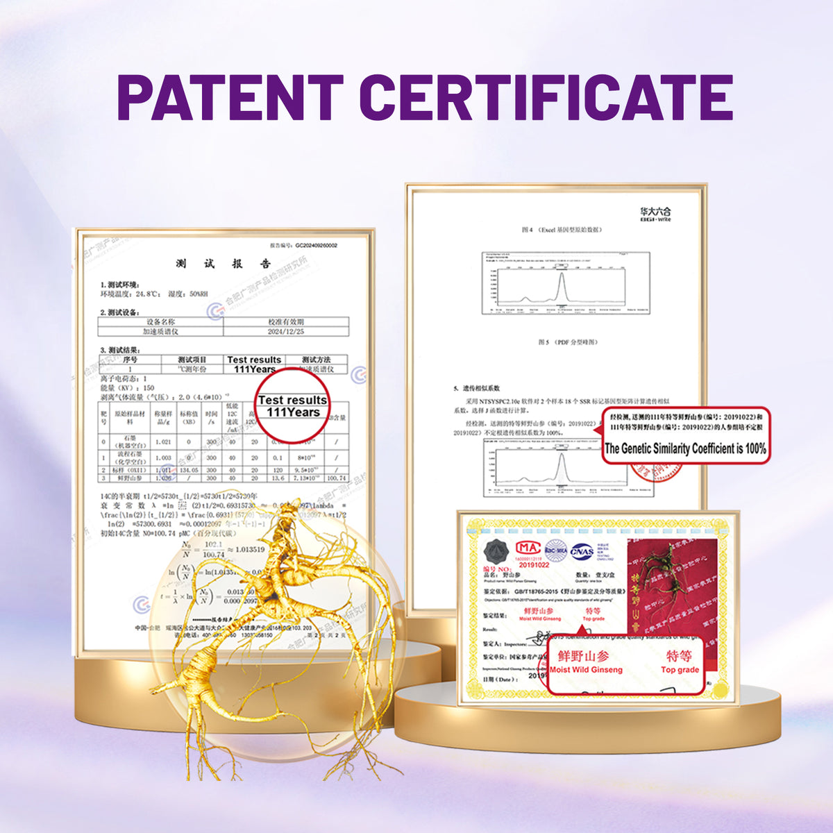 N57 Minimal Luxury Anti-Wrinkle Toner Ginseng-Infused Brightening & Firming, Hydrating Barrier Repair