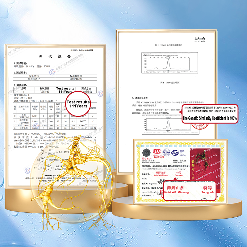 Ginseng Essence Water Hydrating Face Toner for Dry, Dull Skin. Moisturizing Skin Care for Men and Women 100ml